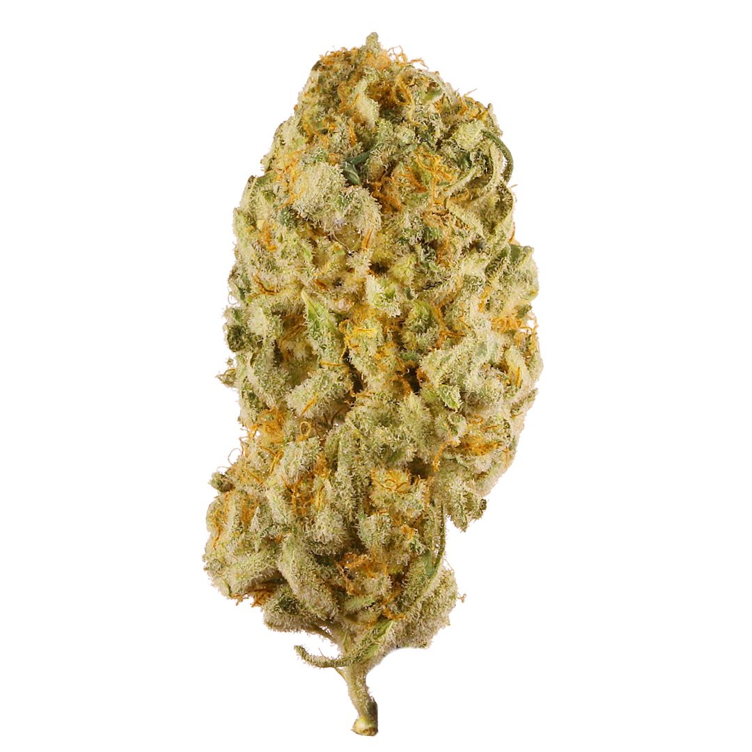 Jack Herer Strain 1 Jack Herer Strain