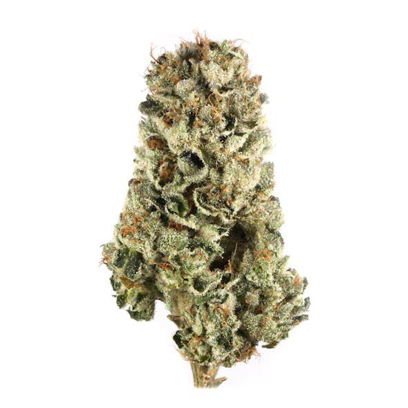 Cherry Pie Strain 1 Cherry Pie Strain