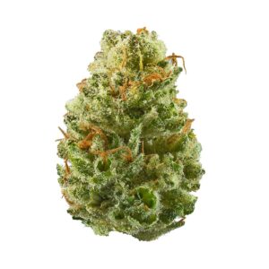 Shop 6 Strawberry Cough Strain