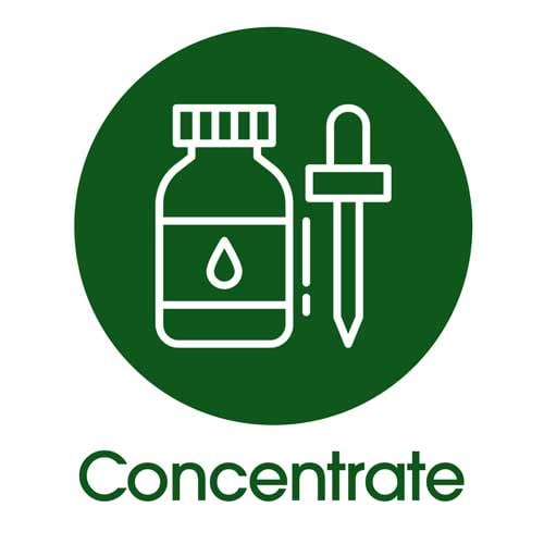 weed concentrate weed concentrate